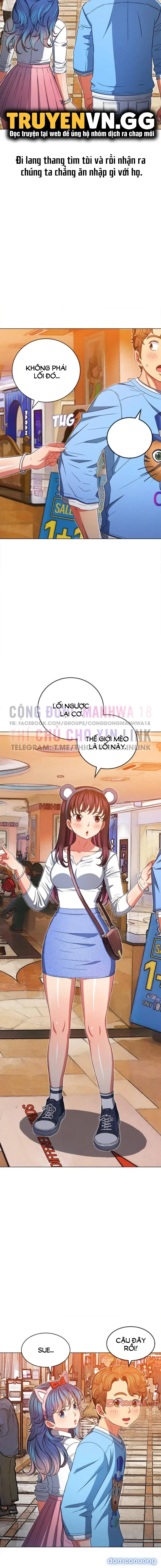 Bắt Nạt Học Đường 