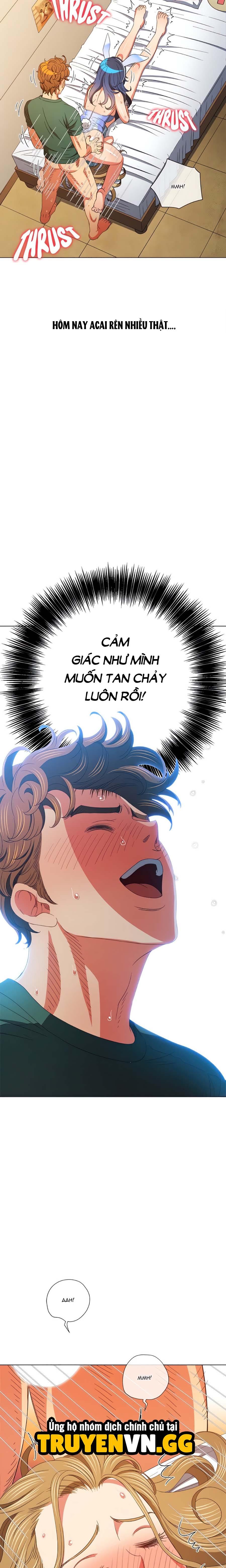 Bắt Nạt Học Đường 