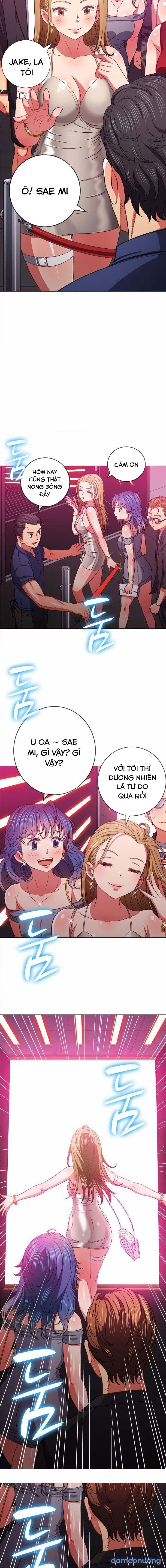 Bắt Nạt Học Đường 