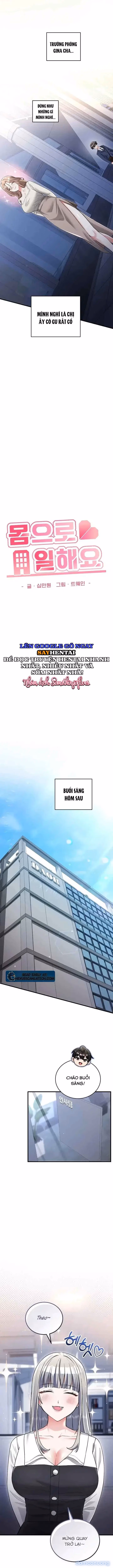 Ứng Tuyển Nhầm Nghề Rồi 