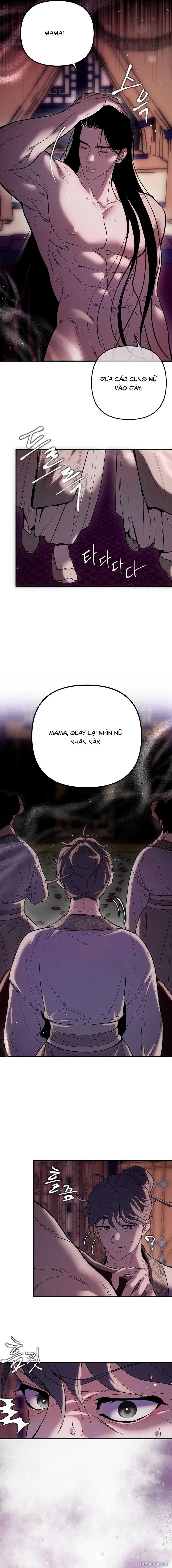 Hoa Sen Nở Trên Thiên Sơn 