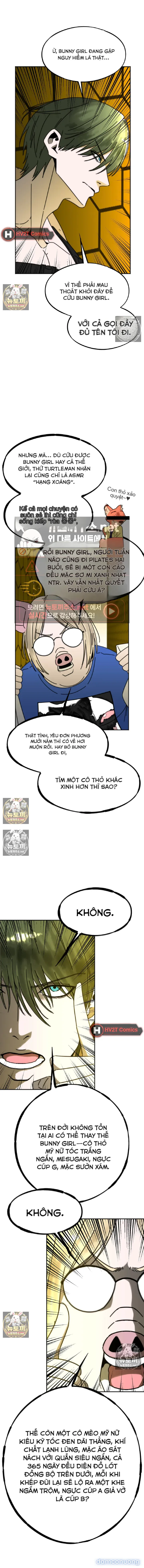 Con Rùa Không Vượt Nổi Con Thỏ Đang Ngủ 