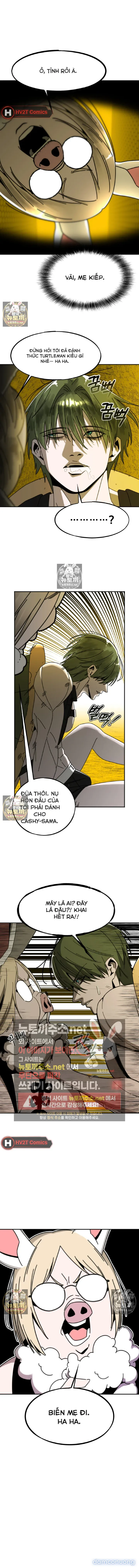 Con Rùa Không Vượt Nổi Con Thỏ Đang Ngủ 