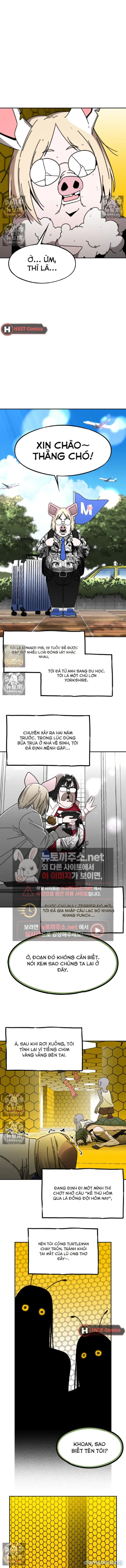 Con Rùa Không Vượt Nổi Con Thỏ Đang Ngủ 