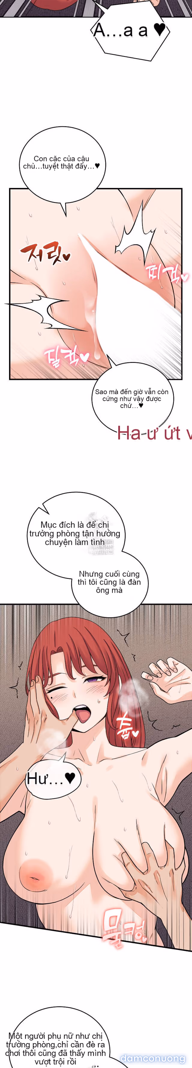 Chỉ Qua Một Đêm, Tôi Thành Thiếu Gia 