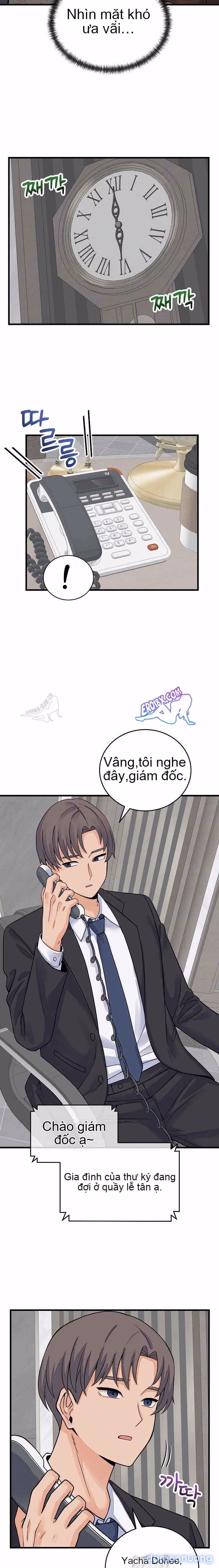 Chỉ Qua Một Đêm, Tôi Thành Thiếu Gia 