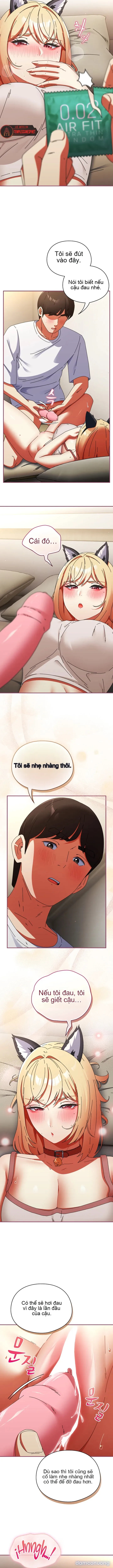 Hãy Chụp Ảnh Cho Em 