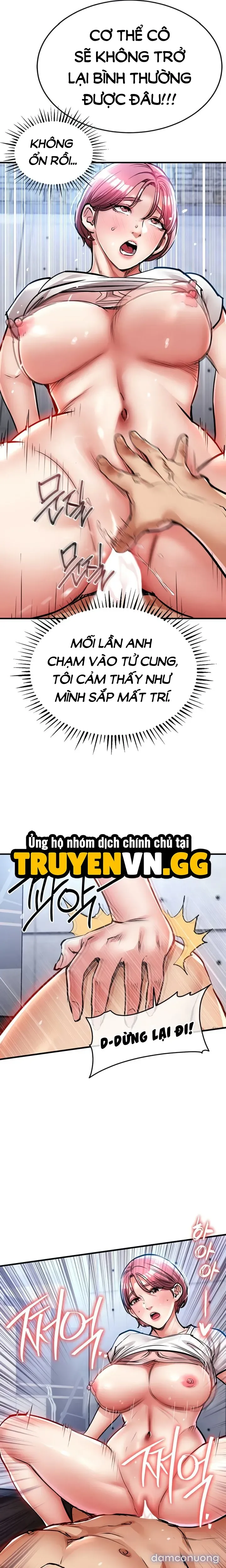 Ngày trở về huy hoàng 
