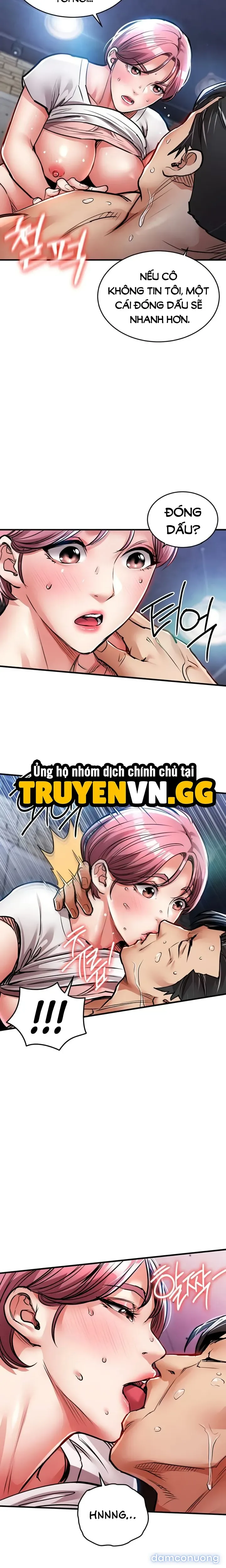 Ngày trở về huy hoàng 