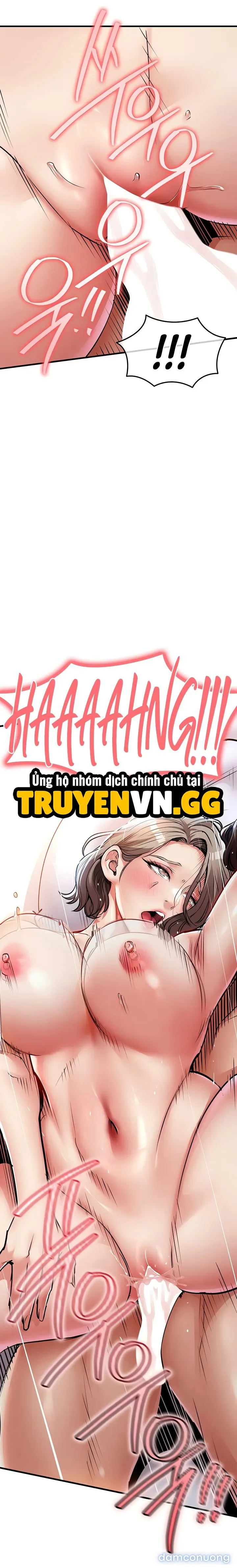 Ngày trở về huy hoàng 