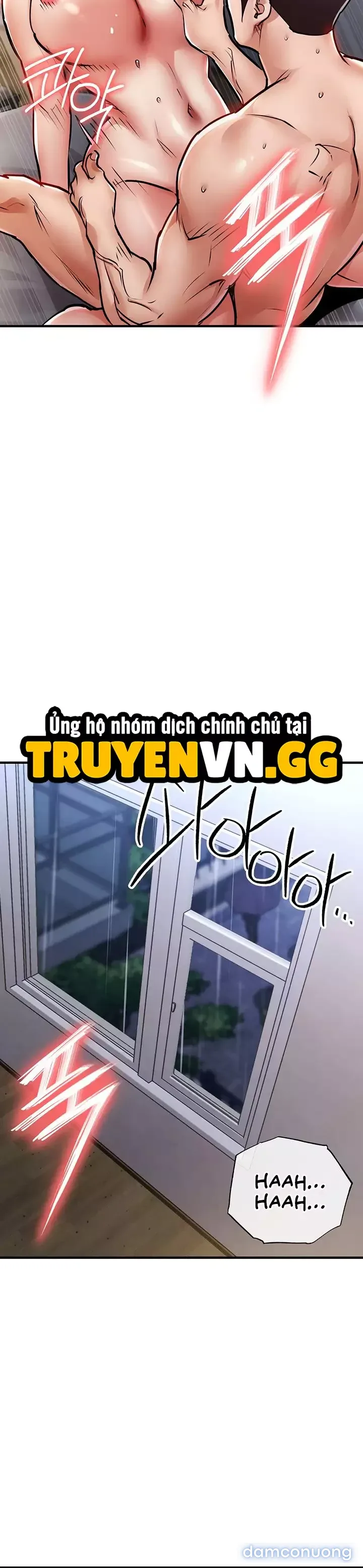 Ngày trở về huy hoàng 