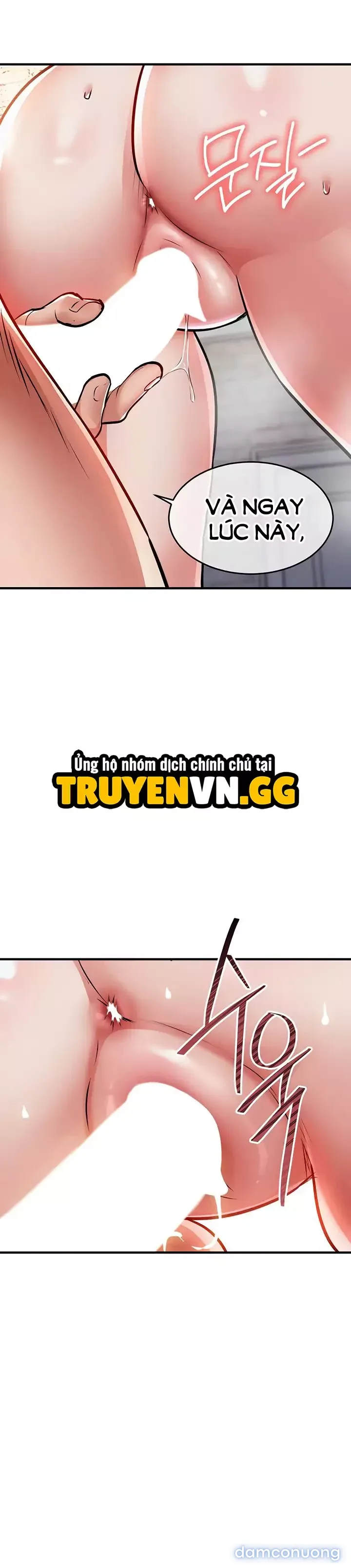 Ngày trở về huy hoàng 