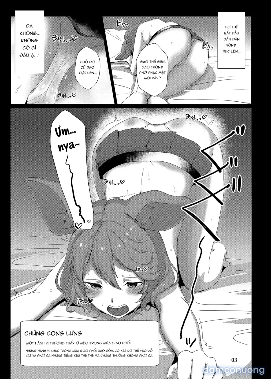 Xin hãy trừng phạt Sen đi mà nya~ 