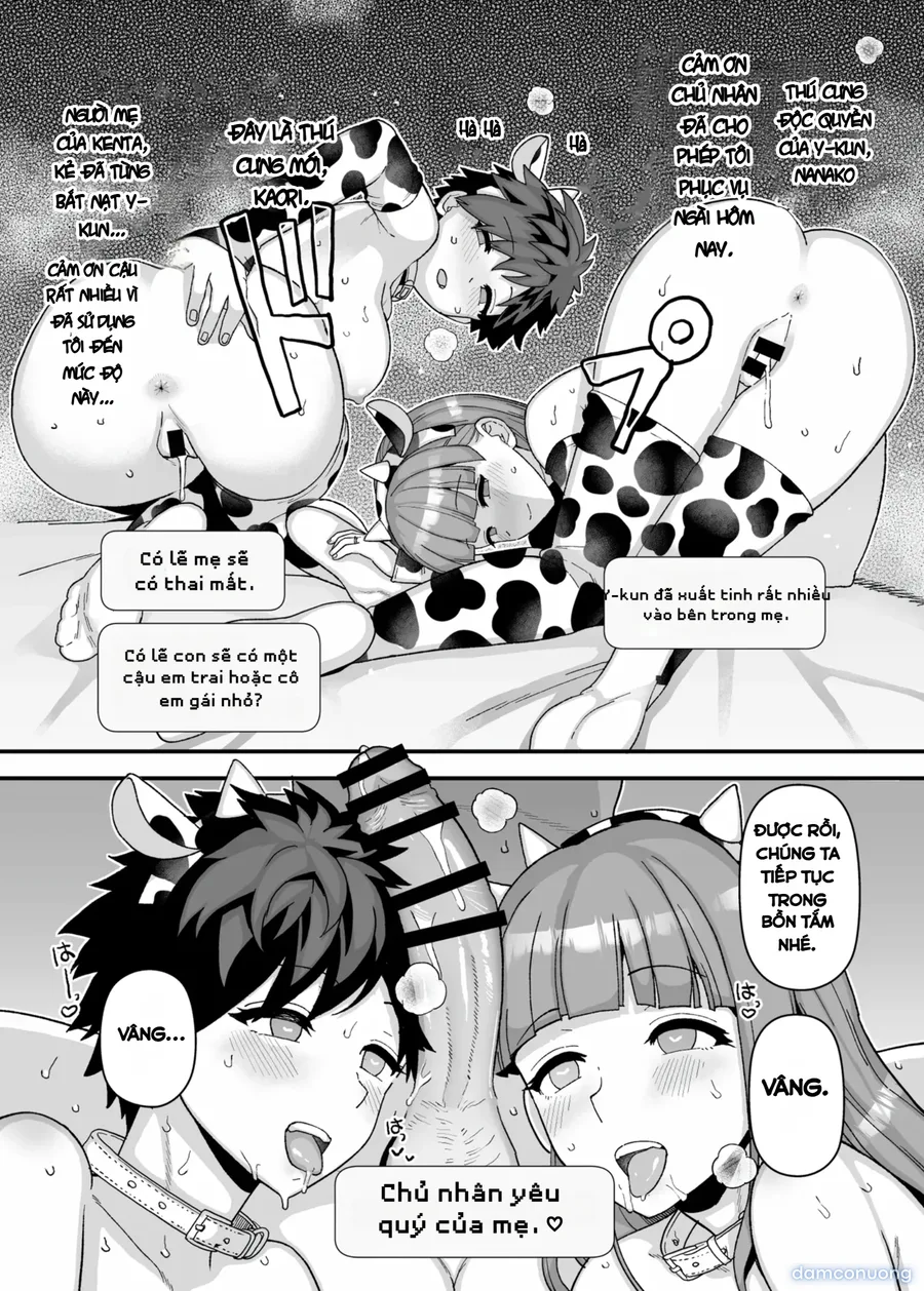 Y-kun 