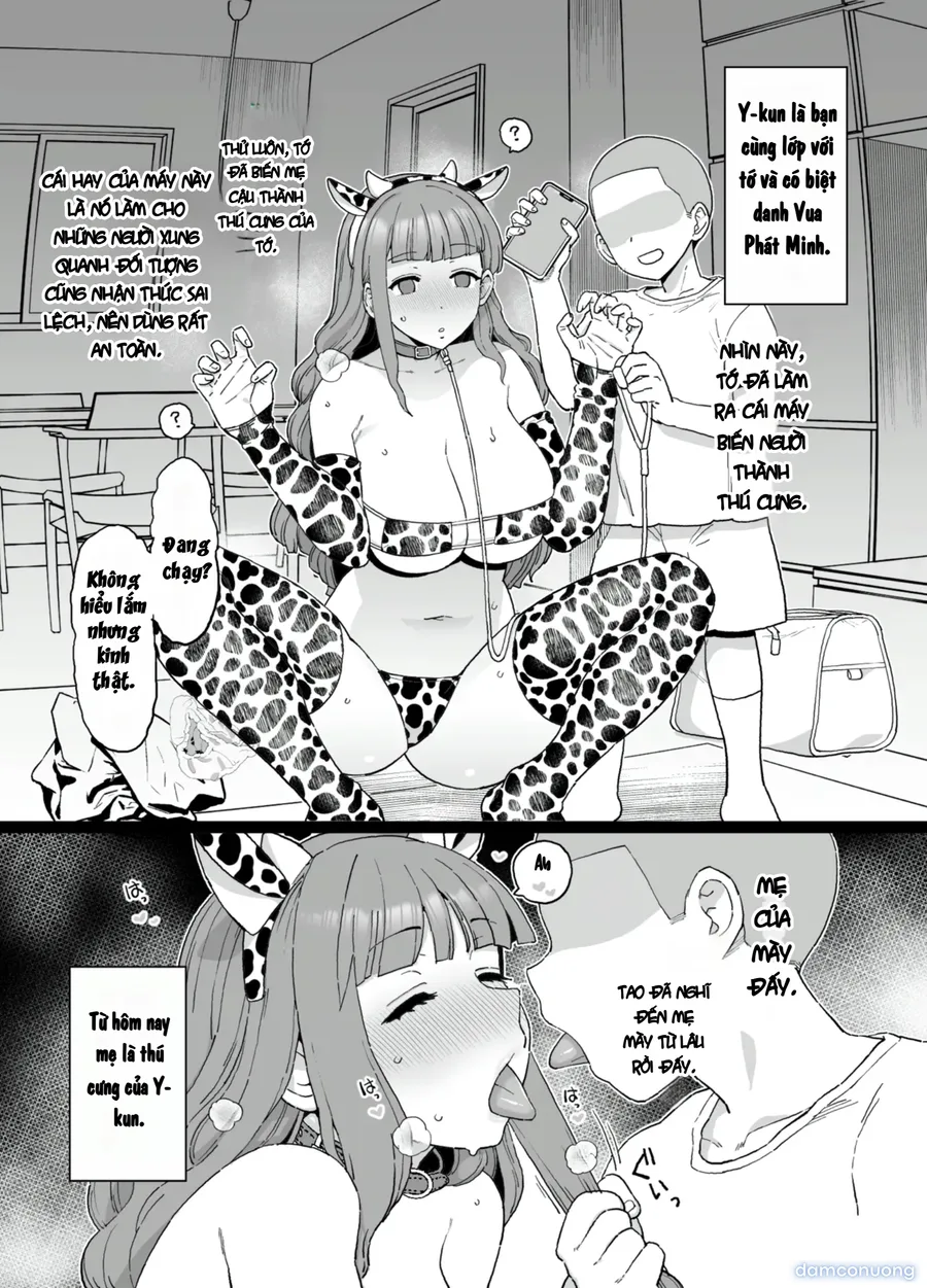 Y-kun 
