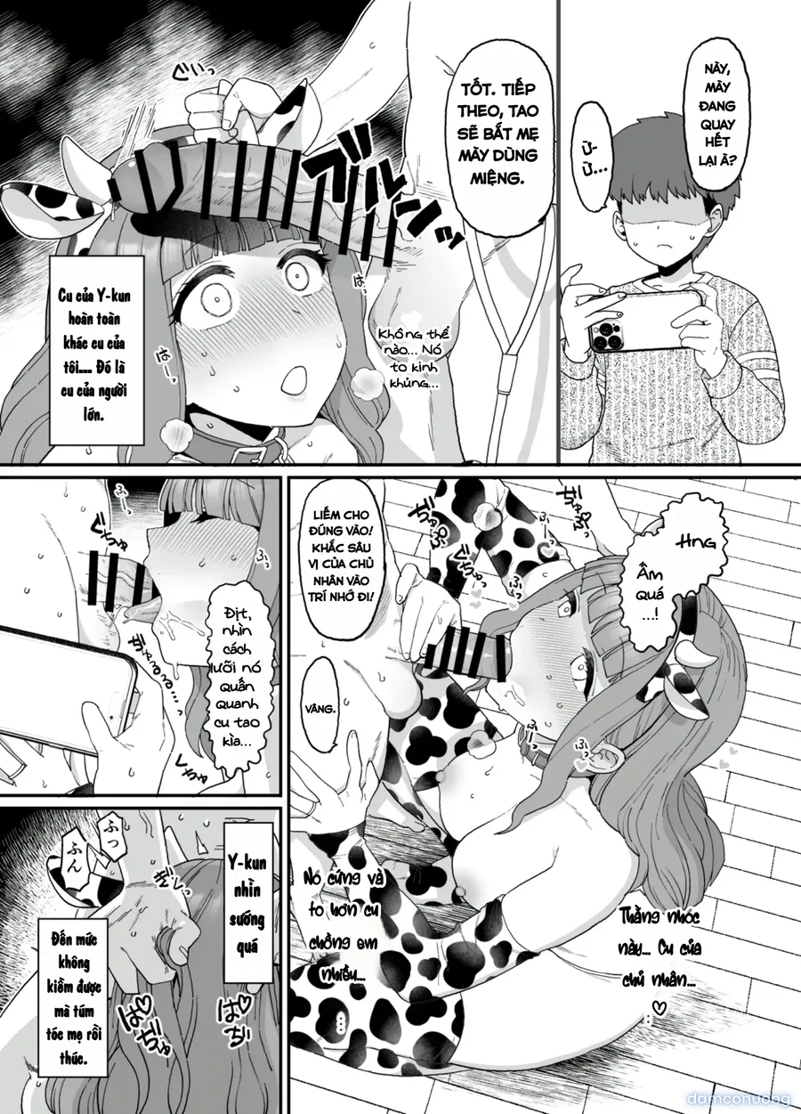 Y-kun 