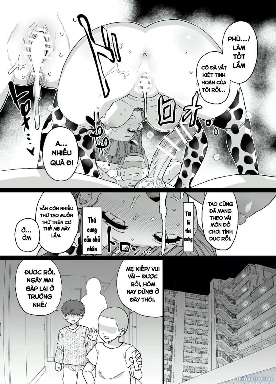 Y-kun 