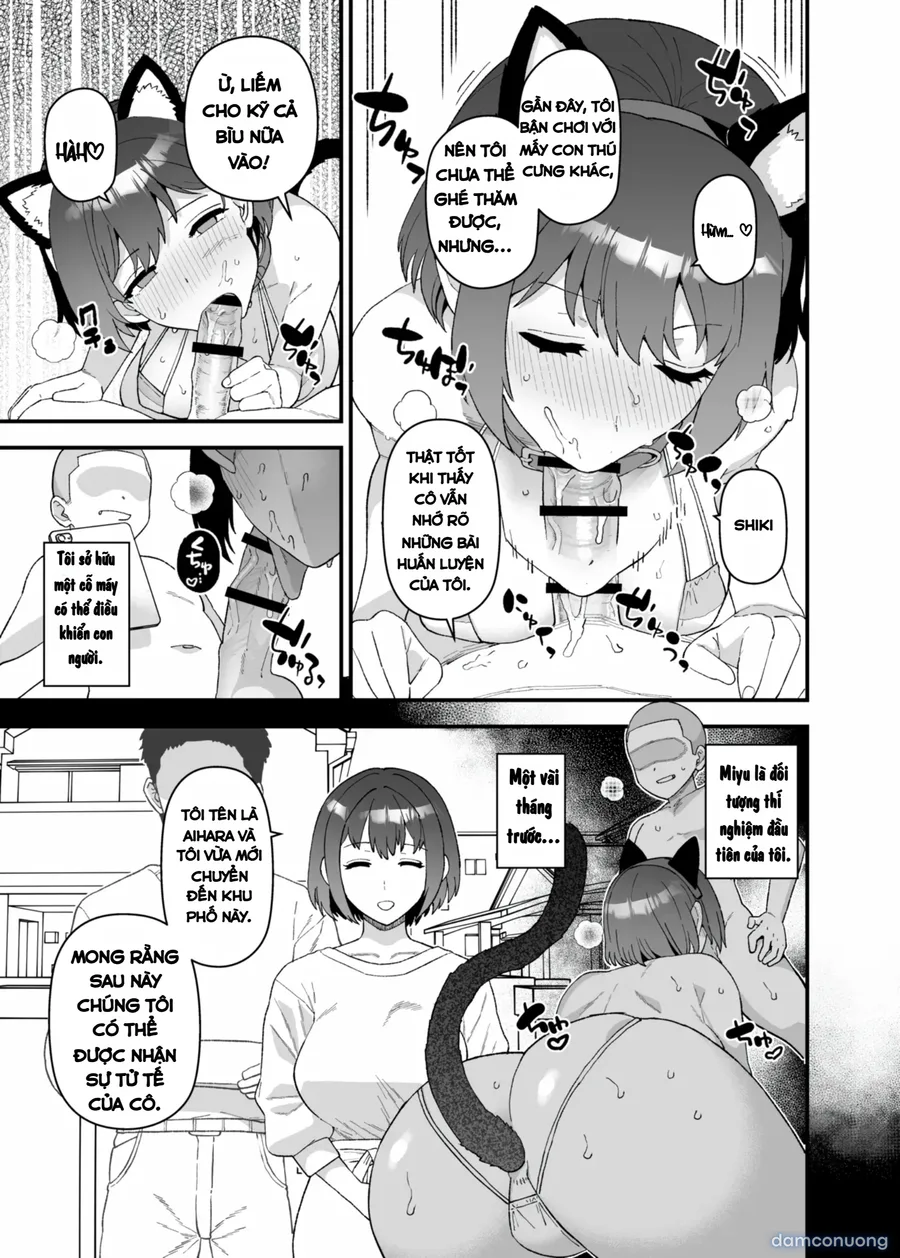 Y-kun 