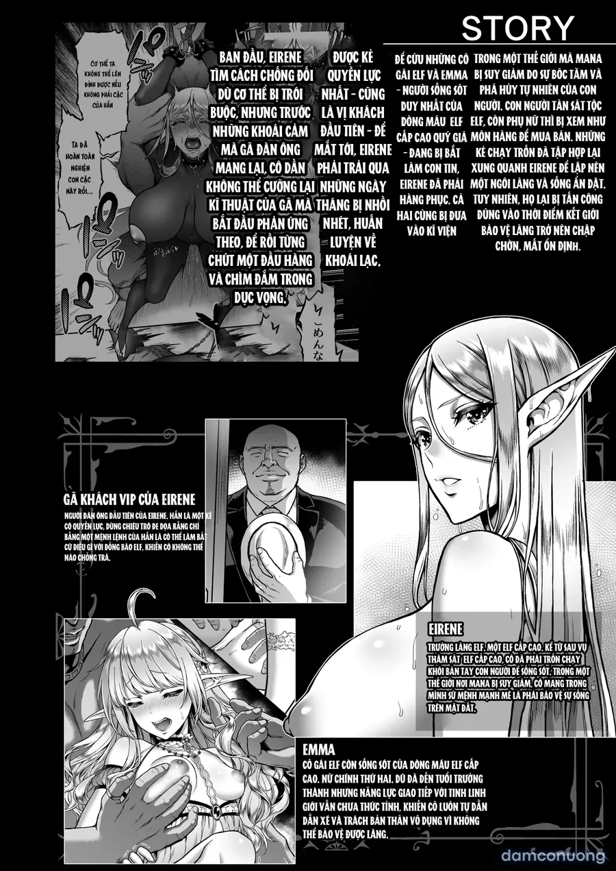Tasogare no Shou Elf 9 -Shoufu ni sareta Kedakaki High Elf 5 