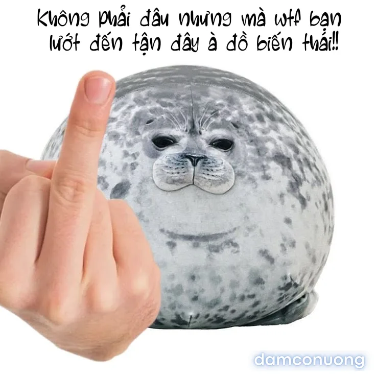 Art của một số artist ngẫu nhiên 