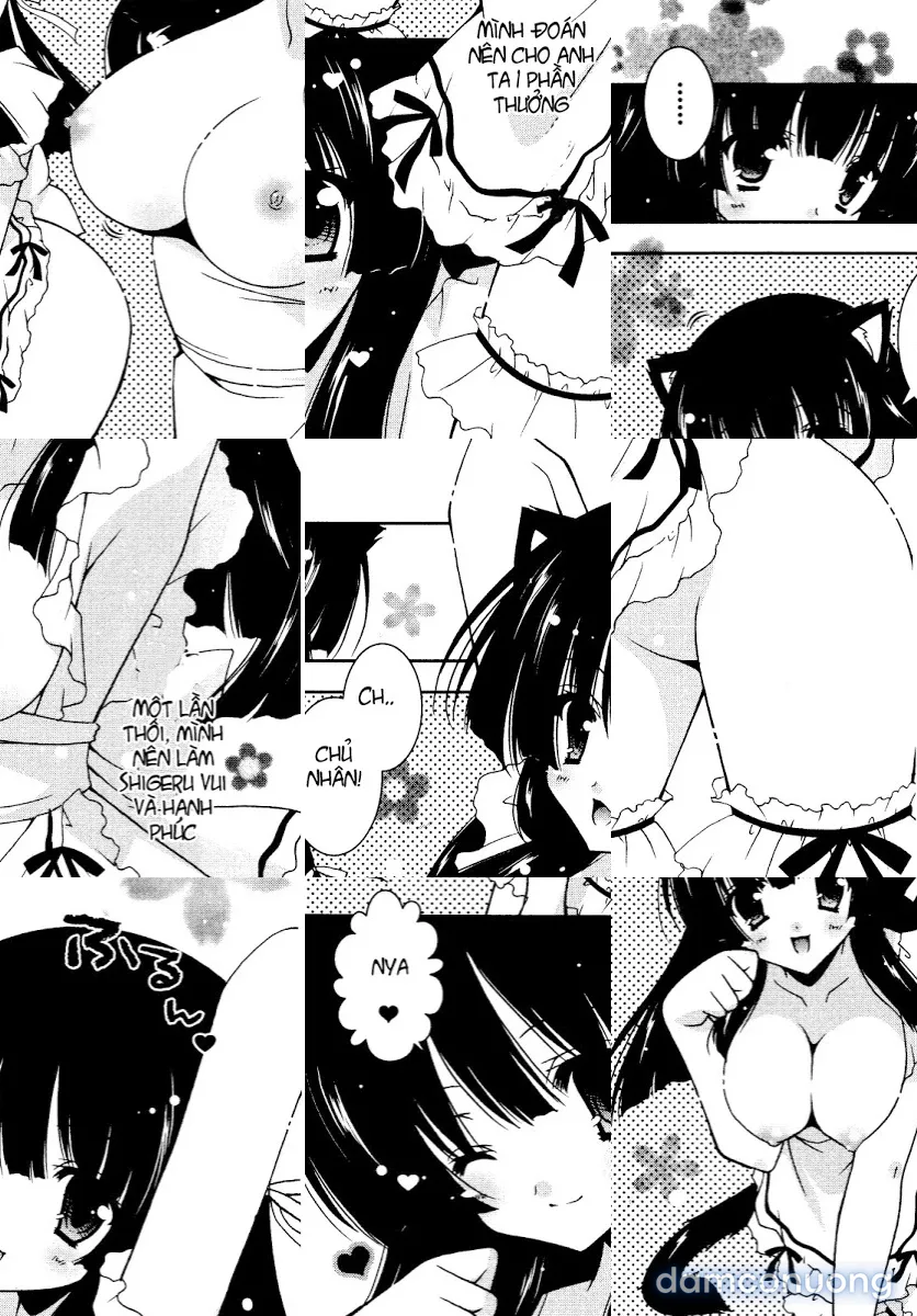 Test mã hóa 
