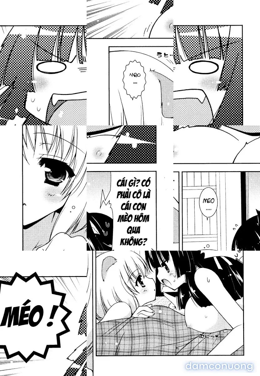 Test mã hóa 