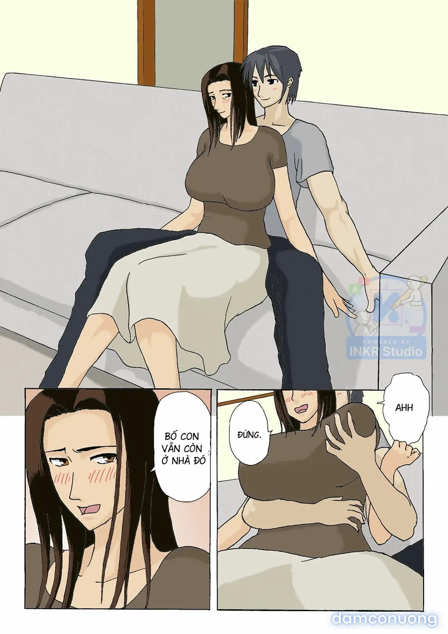 Domestic Adultery/Affair 
