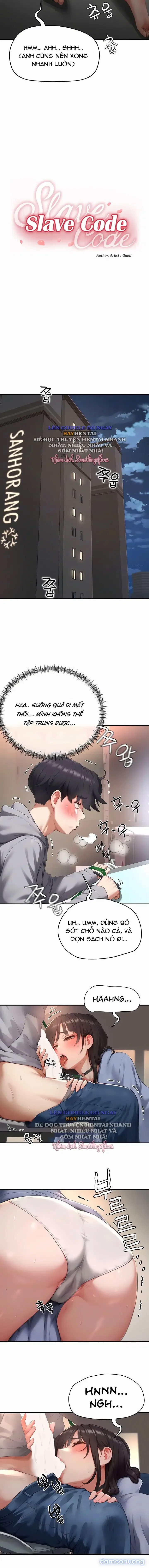 Mật Mã Nô Lệ 