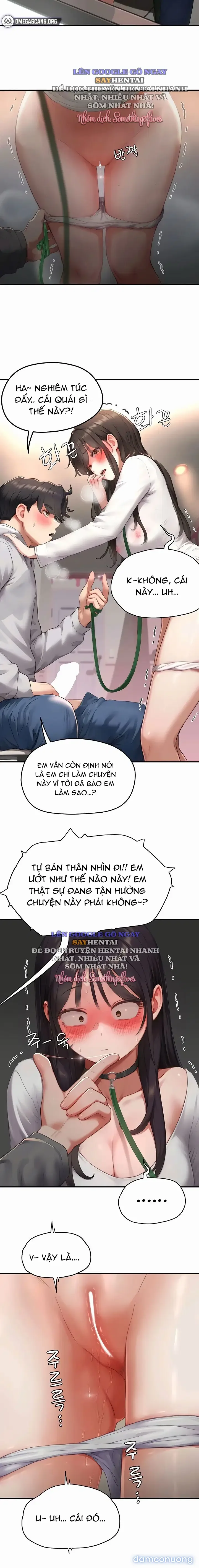 Mật Mã Nô Lệ 