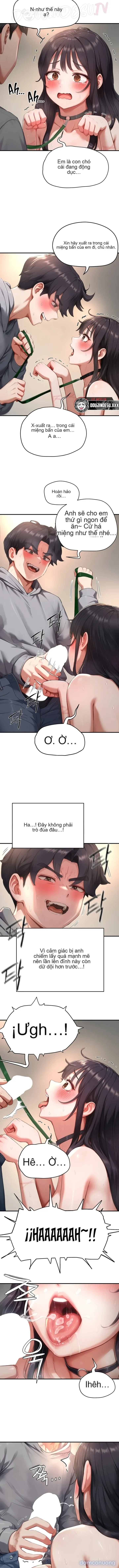 Mật Mã Nô Lệ 