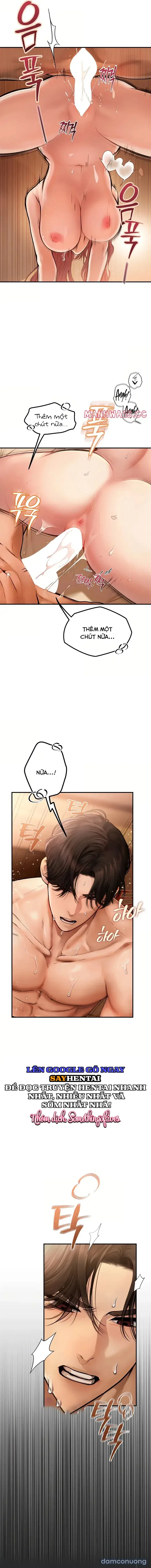 Ghép Đôi Thoát Tim 