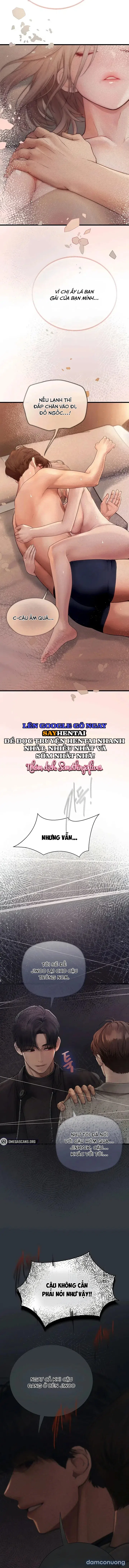 Ghép Đôi Thoát Tim 