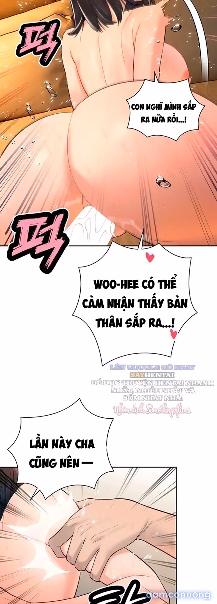 Đế Chế Cha Chồng 