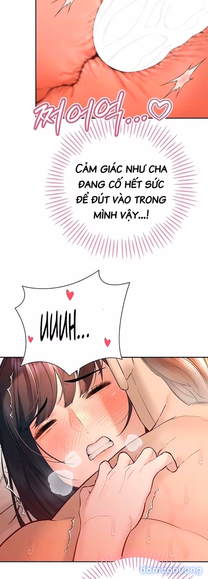 Đế Chế Cha Chồng 